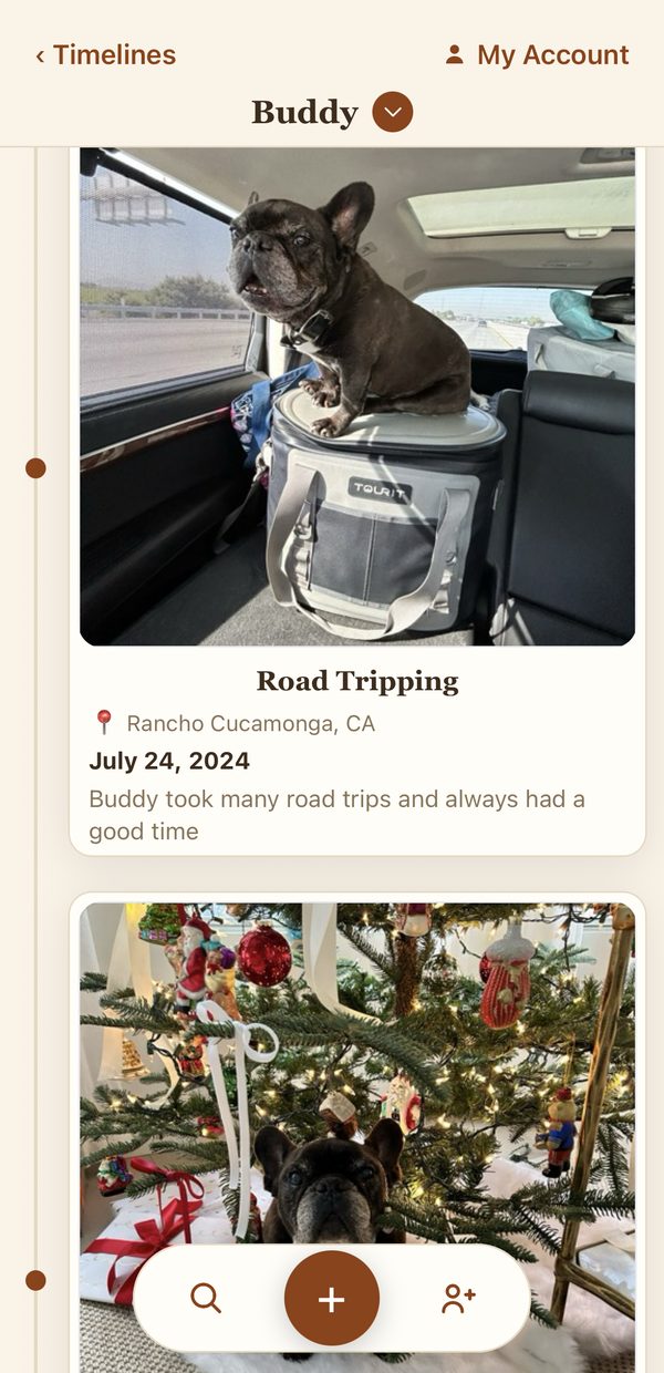A ReLivin timeline for a dog named Buddy, showing a road trip memory with its location and date
